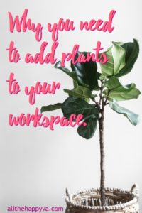 Why you need to add plants to your workspace.